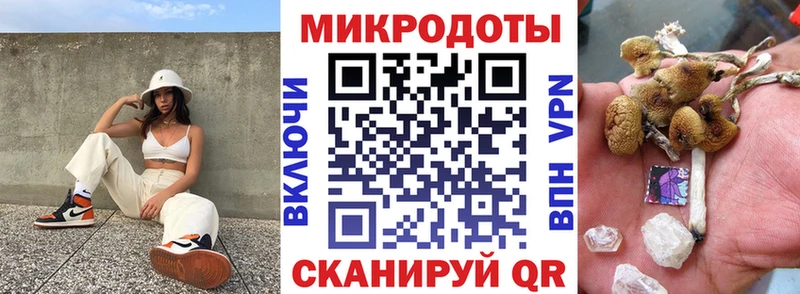 продажа наркотиков Лобня Галлюциногенные грибы Psilocybe